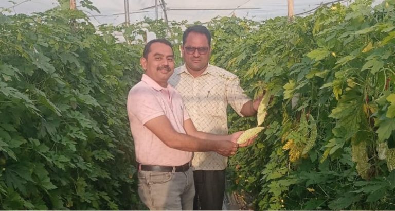 Tupewadi (Maharashtra) farmers