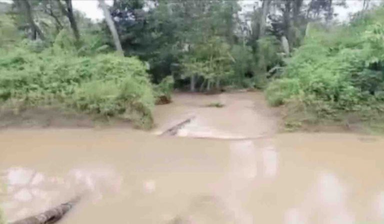 Breach In Canal Embankment Inundates 30-Acre Farmland In Odisha’s Puri