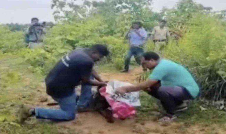 Odisha: Teddy Bear Found Near Plus II Girl Student With Throat Slit Could Lead To Her Killers