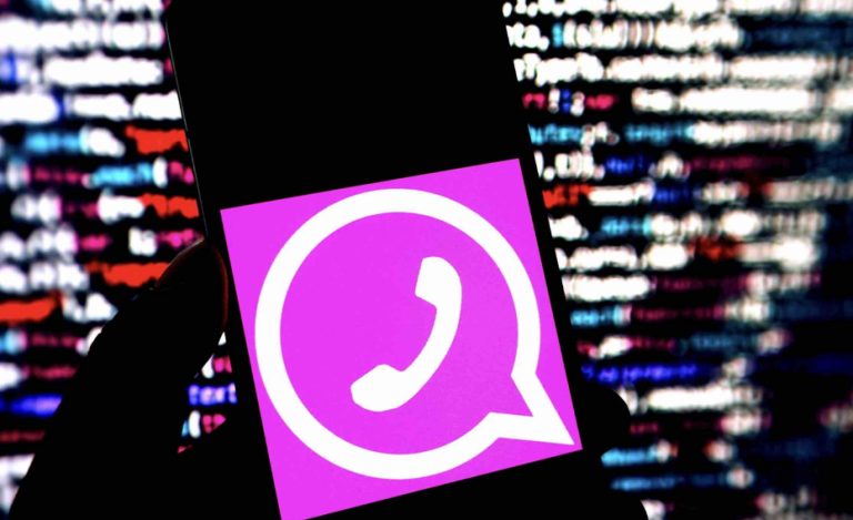 WhatsApp Pink Scam: Odisha Police Asks People To Stay Alert