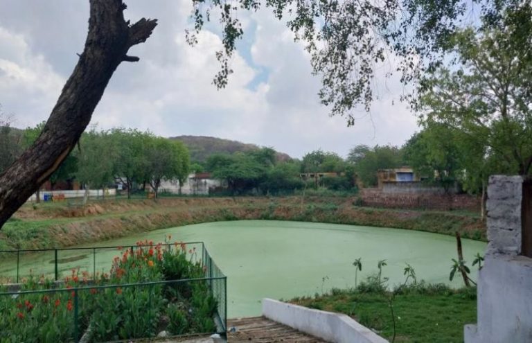 Pond in Hariahera village, Gurugram