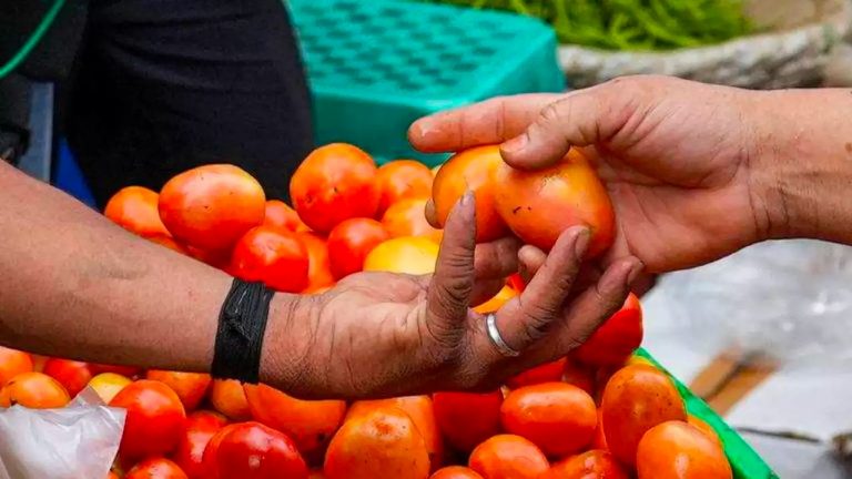 Man Flees With 2Kg Tomatoes By ‘Mortgaging’ 2 Street Kids In Odisha’s Cuttack