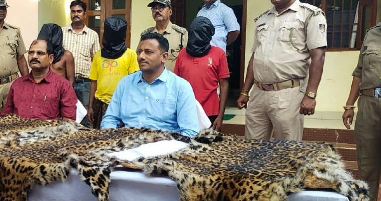 Arrested Wildlife Smuggler Escapes During Medical Check-Up In Odisha’s Mayurbhanj