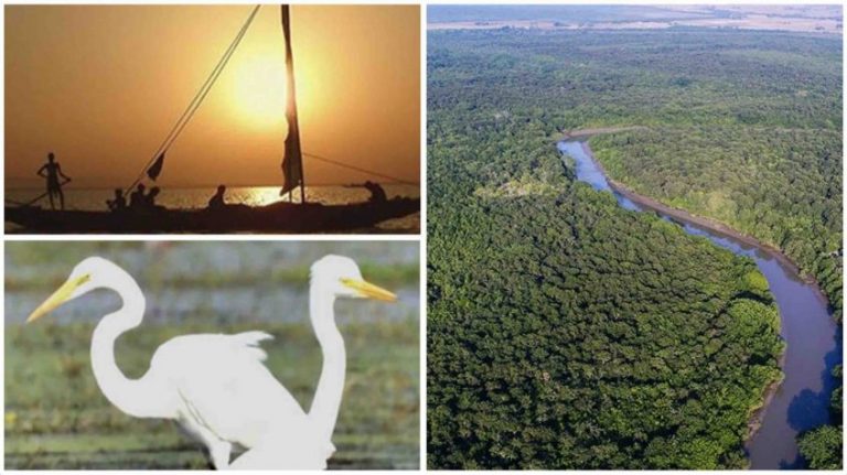 Bhitarkanika National Park In Odisha Reopens For Tourists From Today