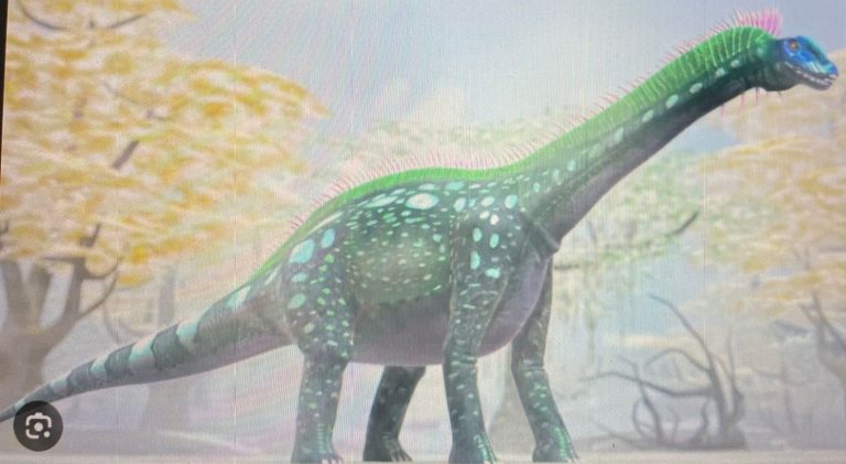 167-Million-Old Dinosaur Fossils Found In Jaisalmer