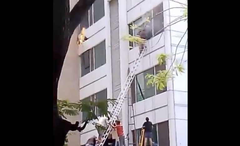 3 Dead In Fire At Hotel In Mumbai’s Santacruz; 8 Rescued