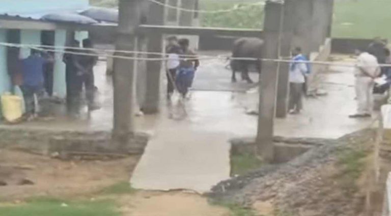 2 Youths Found Dead At Buffalo Dairy Farm On Bhubaneswar Outskirts