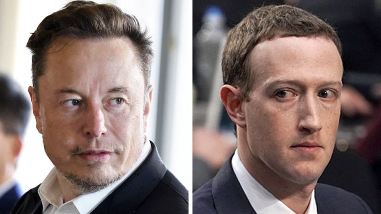 Musk vs Zuckerburg fight