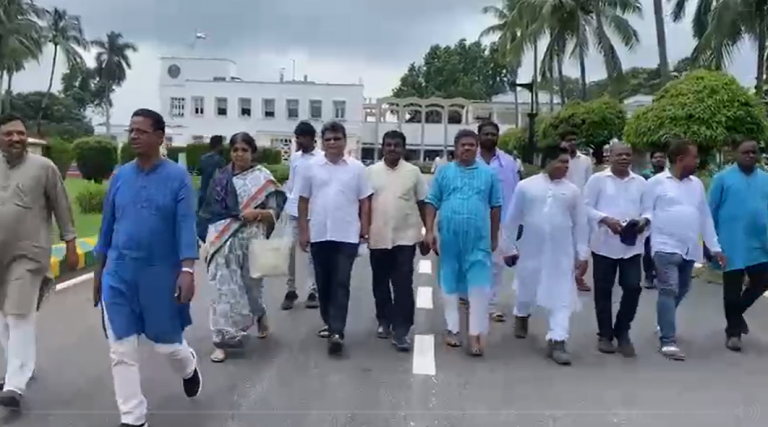 Governor Urged To Tell Odisha Govt To Involve Panchayati Raj Bodies In Implementation Of Schemes