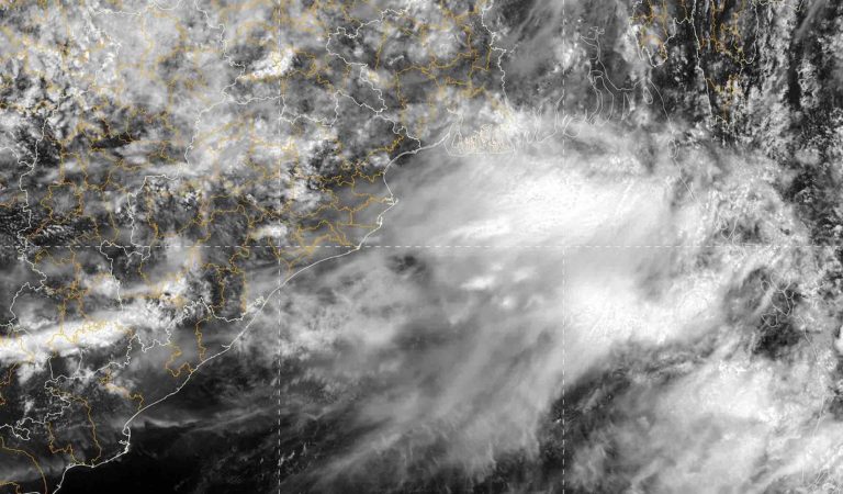 Heavy To Very Heavy Rain To Lash Odisha Today; IMD Issues Yellow Warning For 3 Days