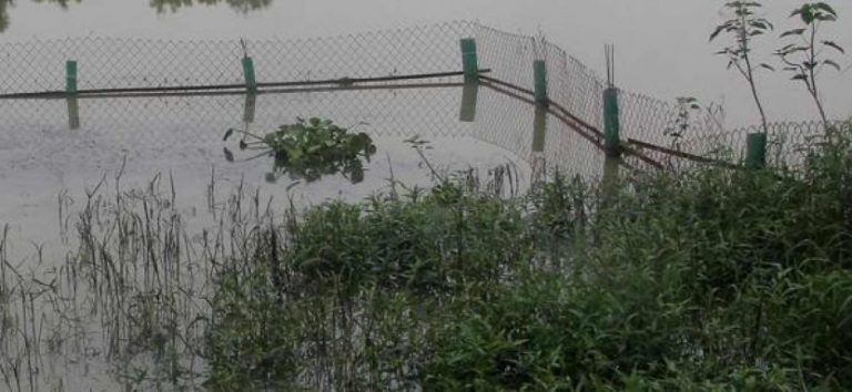 Odisha To Put Up Fencing Nets At River Ghats To Prevent Drowning, Crocodile Attacks