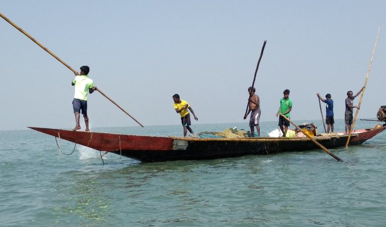 HC Fixes Nov 30 Deadline For Final Policy On Fishing In Odisha’s Chilika Lake
