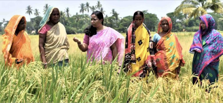 Odisha Scientist Swati Nayak Wins Norman Borlaug Field Award 2023; Know Her Success Story