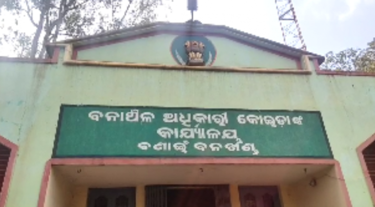 Mutilated Body Of Missing Woman Found Inside Forest In Odisha’s Sundargarh