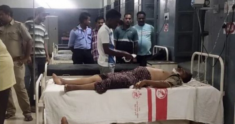 2 Forest Dept Personnel Critical After Jumbo Attack In Odisha’s Mayurbhanj