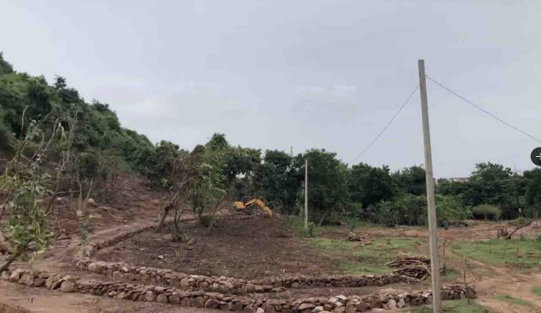 After BDA Officer, NGT Penalises Chandaka DFO; Raps Odisha Govt For Wasting Court’s Time