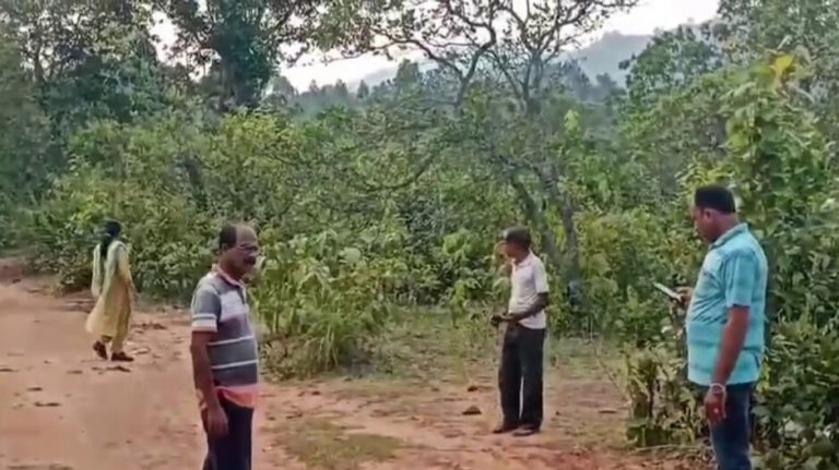 Odisha: Woman Kills 4-Yr-Old Daughter, Buries Body In Forest