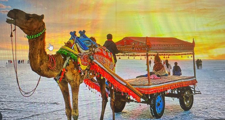 Gujarat’s ‘Dhordo’ Known For Rann Utsav Receives UN’s Best Tourism Village Award