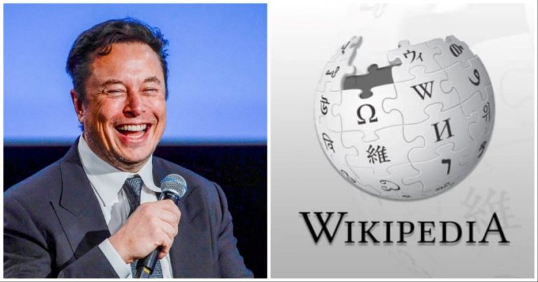 Elon Musk & wikipedia