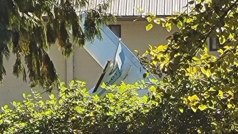 Indian pilots die in canada