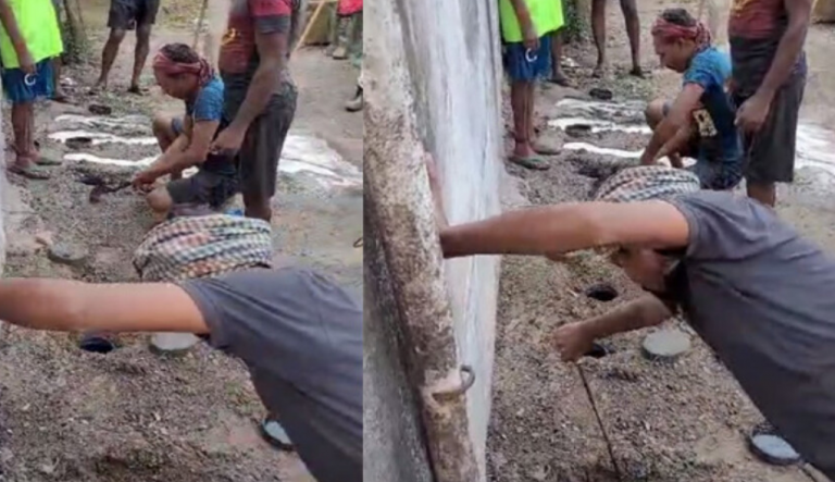 Pre-Festival Crackdown: Fermented Liquor Worth Rs 25 Lakh Seized In Odisha’s Balasore