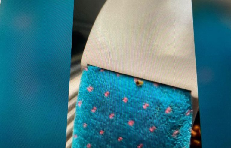 Paris Infested With Bedbugs 10 Months Ahead Of Olympics 2024