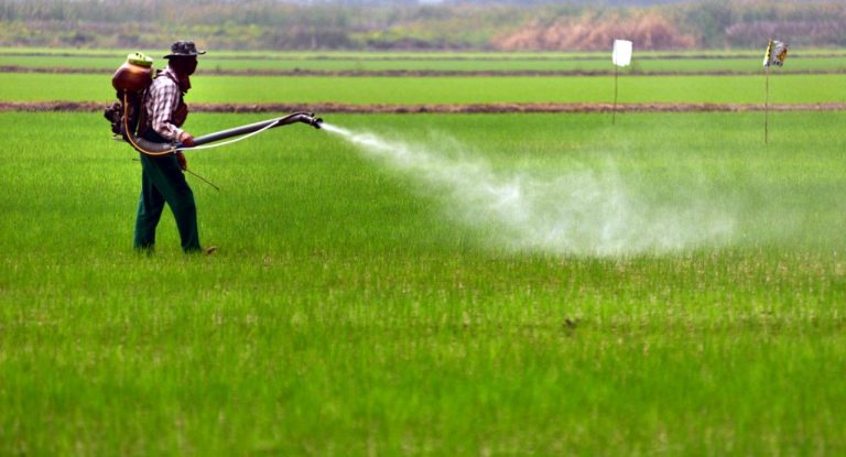 paraquat herbicide use