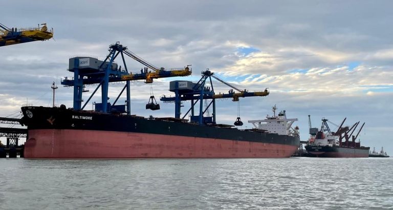 dhamra port cargo handling