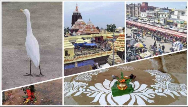 Panchuka Begins In Odisha Today; Know Significance Of These 5 Days When Even Cranes Abandon Fish