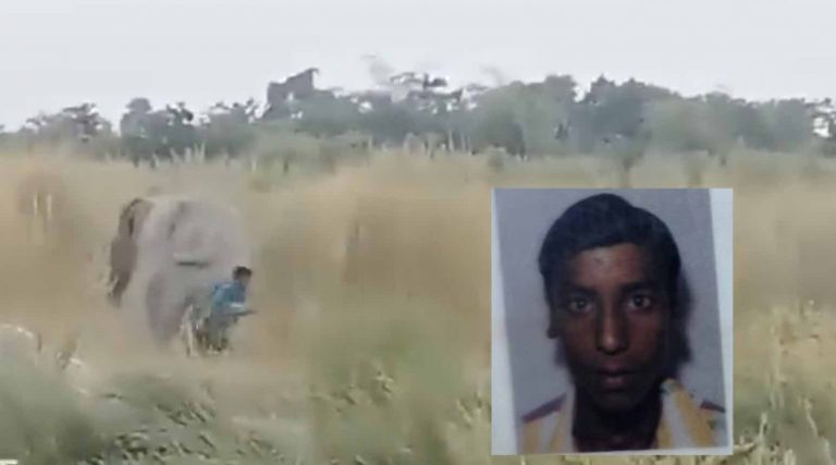 24-Yr-Old Arrested For Teasing Tusker In Odisha’s Angul