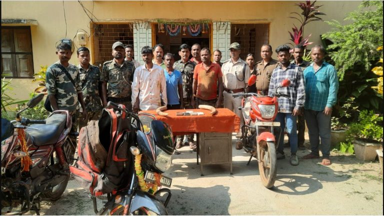4 Poachers Held With Elephant Tusks In Odisha’s Mayurbhanj
