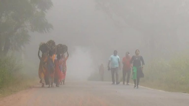 Dense Fog, Rain Likely In Odisha For 2 More Days, Chill Set To Return After 24 Hours