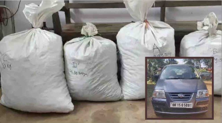90 Kg Ganja In 5 Sacks Seized From Car In Odisha’s Koraput