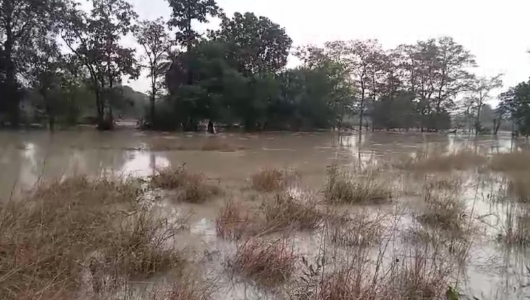 20-Ft Breach In Thermal Plant Ash Pond In Odisha’s Jharsuguda; Slurry Floods Farmland