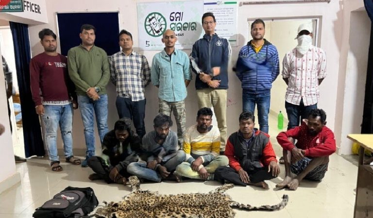 Leopard Hide seized