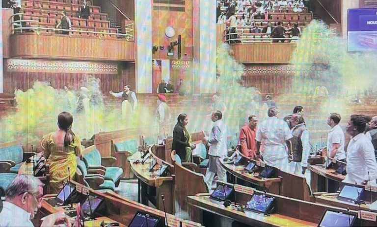 Lok Sabha Security Breach: What Are Colour Gas Canisters Carried By Intruders?