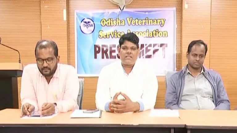 Veterinary Doctors