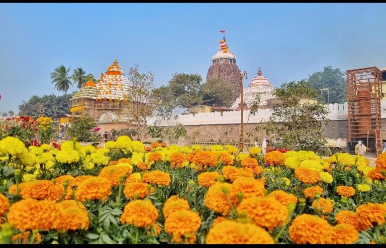 Corridor Project In Odisha’s Puri: 120 Species Of Ornamental & Flowering Plants Give Aesthetic Touch
