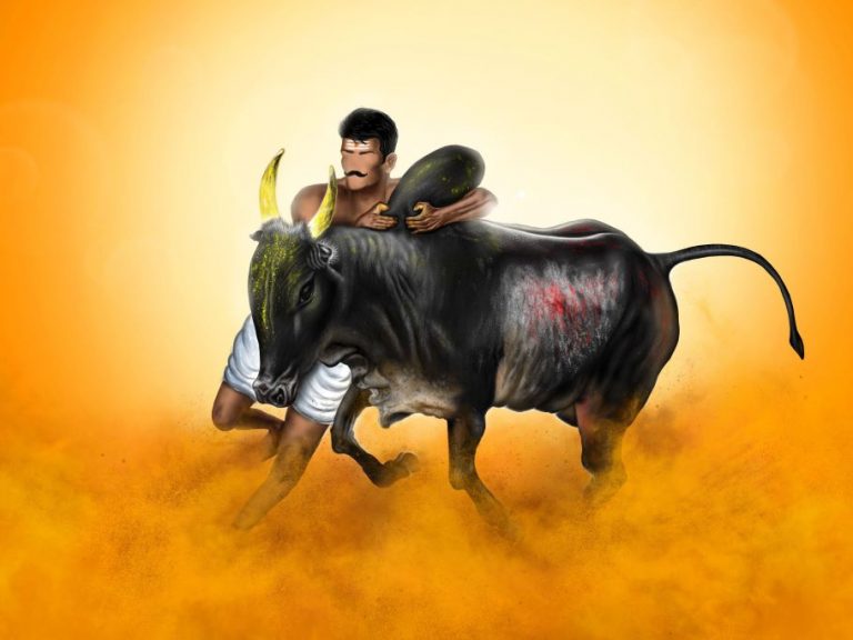 Jallikattu injury