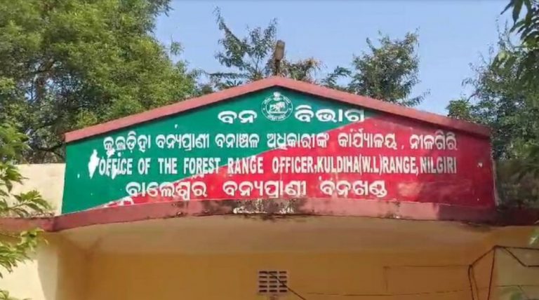 Forester, Forest Guard Suspended Over Elephant Death In Odisha’s Kuldiha Sanctuary