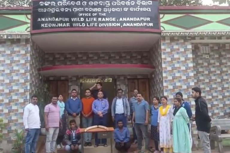 2 Wildlife Smugglers Held With Elephant Tusks In Odisha’s Keonjhar