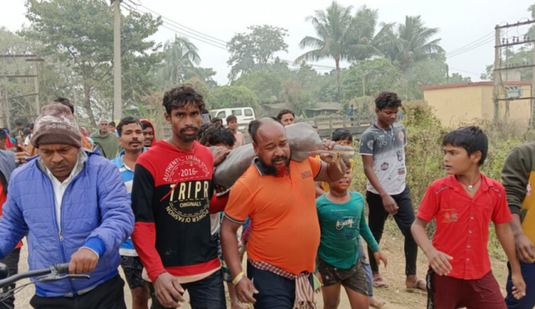 Dolphin Rescued From River In Odisha’s Balasore