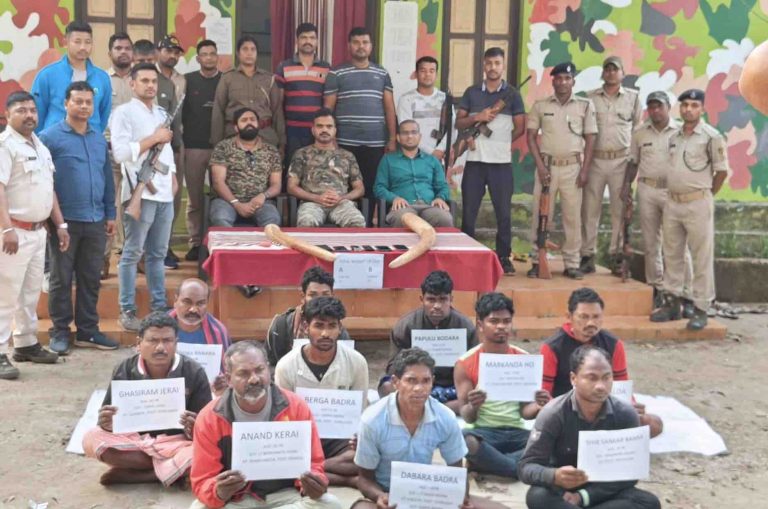 Over 30 Kg Tusk Seized & 10 Persons Held In Major Bust In Odisha’s Similipal