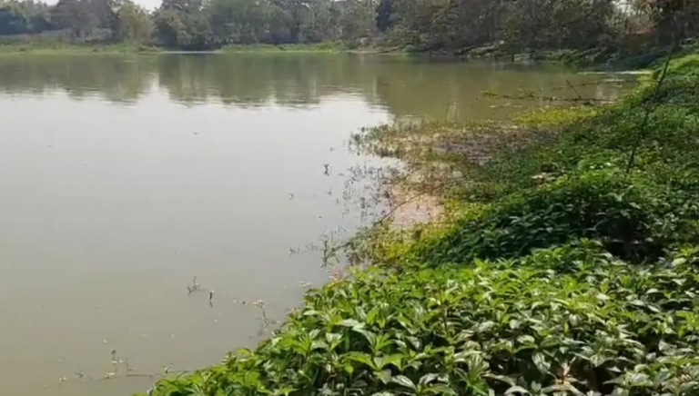 Missing Minor Girl Found Dead In Village Pond In Odisha’s Ganjam