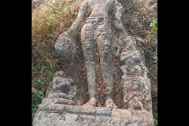 Ruins Of Ancient Buddhist Site Discovered In Odisha's Cuttack