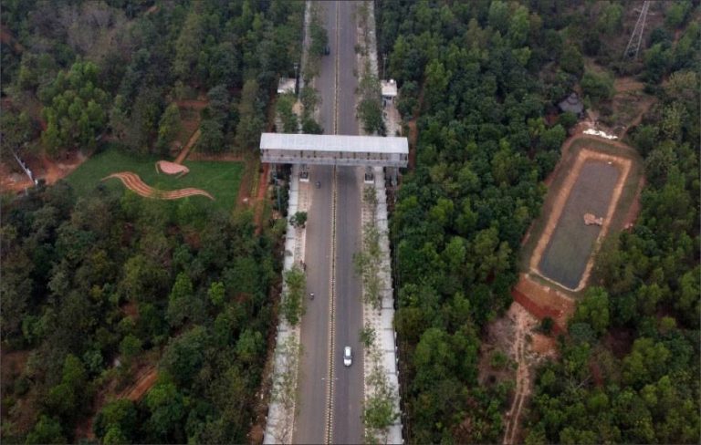 urban forest Anandabana