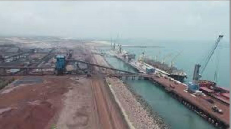 Adani Group Proposes Developing Gopalpur Port-Jeypore Economic Corridor In Odisha Under BOOT Model