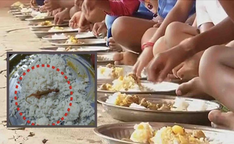 25 Odisha Students Fall Sick, Claim Lizard Found In Midday Meal