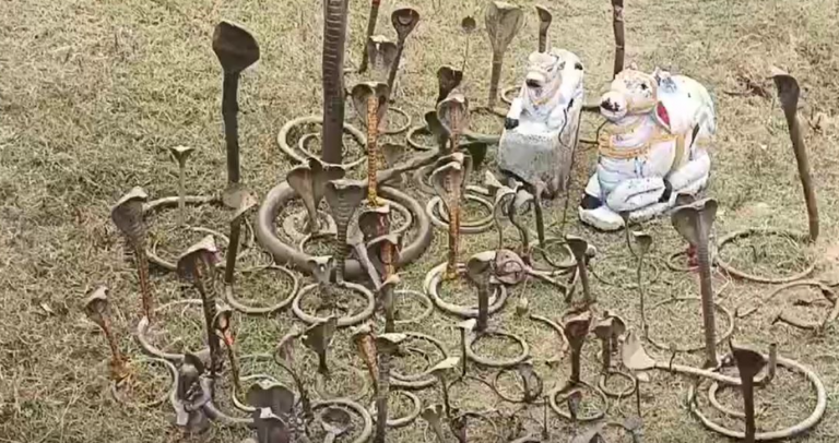 Over 100 Metal Cobra Idols Found At Mahanadi River Ghat In Odisha On Maha Shivratri
