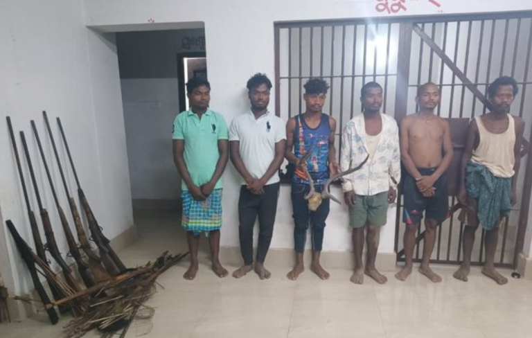 6 Poachers Held With Guns During Raid Near Kuldiha Sanctuary In Odisha
